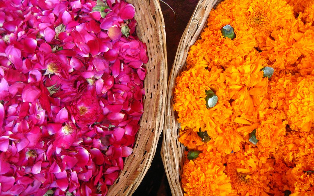 Famous chowk’s phool-wali-gali has shifted to somewhere else